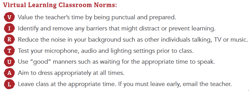 Virtual Learning Classroom Norms Image