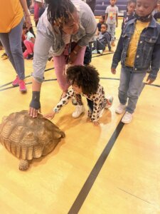 Bradford Academy Preschool student enjoy a visit from the Exotic Zoo.